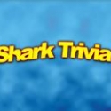 Shark Trivia for Download